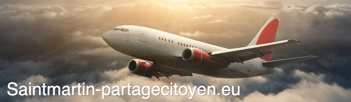 saintmartin-partagecitoyen.blogavontade.com